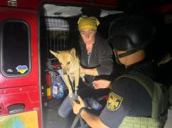 На Харківщині з-під обстрілів евакуювали жінку з трьома собаками