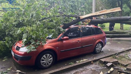 В Харькове стихия валила деревья на авто и электролинии: Информация ГСЧС