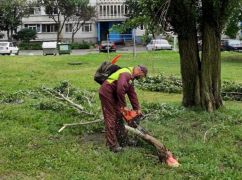 В Харькове ураган повалил более полусотни деревьев