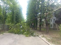 В Харькове ураган повалил деревья и повредил крыши: Кадры последствий