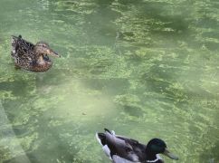 У Центральному парку Харкова почали наповнювати озеро після ремонту (ФОТОФАКТ)