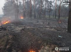 В Харьковской области из-за обстрелов загорелся лес: Кадры с места