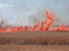 В Харьковской области горело более 20 га пшеницы