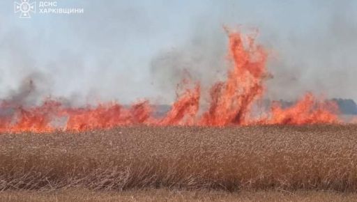 На Харківщині горіло понад 20 га пшениці