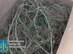 На Харківщині засудили чоловіка, що зберігав удома вибухівку і наркотики