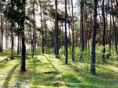 У Харкові пропонують створити заказник біля Основ'янського озера та Жихорського лісу