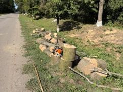 В Харьковской области незаконно вырубили сухие деревья: нарушитель заплатит за убытки