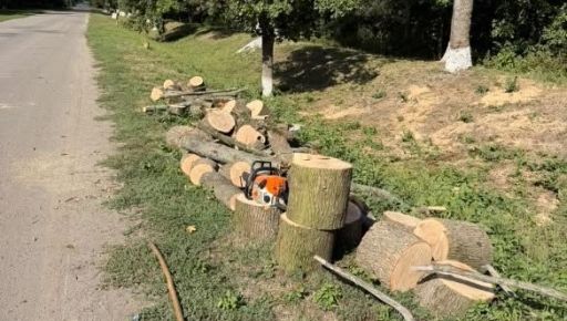 На Харківщині незаконно вирубали сухі дерева: порушник заплатить за збитки