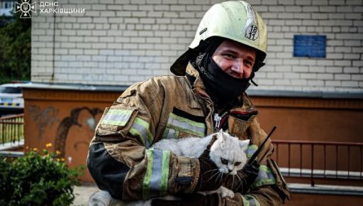 У Харкові під час пожежі в багатоповерхівці врятували двох котів
