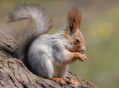 Какая будет погода в Харькове 4 апреля: прогноз синоптиков