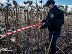 На Харьковщине в поле подсолнухов нашли части российских дронов, которые не сдетонировали