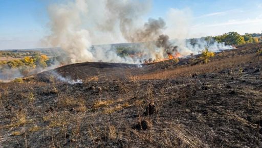 В Харьковской области вспыхнул масштабный пожар: огонь охватил более 3 тыс. м&sup2;