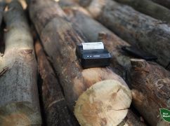 На Харківщині попит на дрова зріс на 40%: які ціни