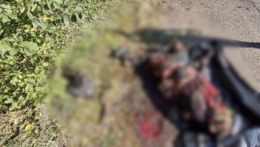 Задоренко заявив про посилення підрозділу ворожих БПЛА, що працює на півночі Харківської області