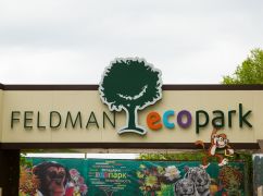 Харьковчан пригласили на Олимпийские игры в эти выходные: Детали
