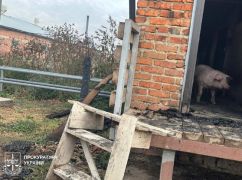 Стало известно, чем россияне обстреляли свинарник в Харьковской области