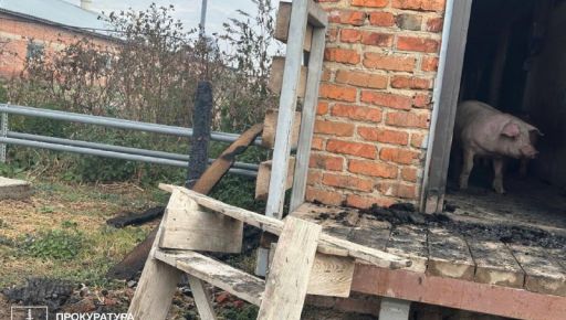 Стало известно, чем россияне обстреляли свинарник в Харьковской области
