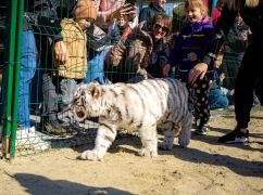 Скандал вокруг Экопарка в Харькове: зоозащитники заявили об эксплуатации животных, полиция проверяет