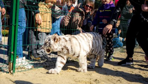 Скандал навколо Екопарку в Харкові: зоозахисники заявили про експлуатацію тварин, поліція перевіряє
