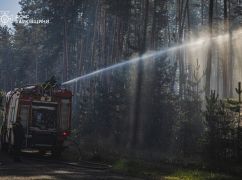 В Харьковской области потушили масштабный лесной пожар: Работают пиротехники