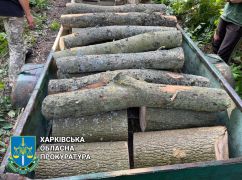 В Харьковской области схватили черного лесоруба