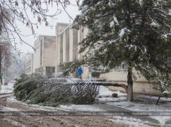 На Харьковщине ожидают снежный покров до 15 см: Обращение к гражданам