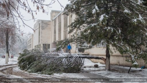 На Харьковщине ожидают снежный покров до 15 см: Обращение к гражданам