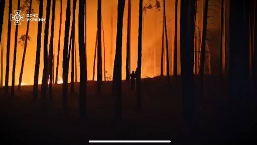 Бійці ДСНС показали, як гасять палаючий ліс в Ізюмському районі