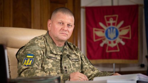 Проблема мобилизации не в людях, а в старых стратегиях - Залужный