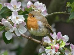 Погода у Харкові 5 березня: що прогнозують синоптики