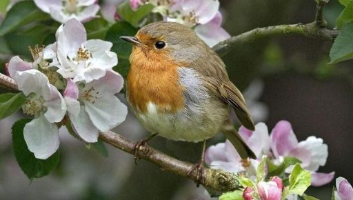 Погода у Харкові 5 березня: що прогнозують синоптики