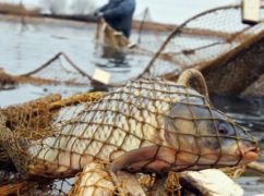 В Харькове браконьер порыбачил на почти 32 тыс. грн