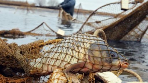 В Харькове браконьер порыбачил на почти 32 тыс. грн