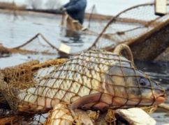 На Харьковщине браконьер порыбачил на почти 148 тыс. грн