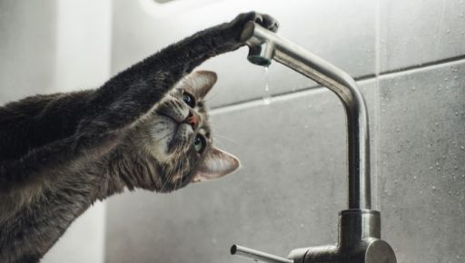 У передмісті Харкова майже на 2 тижні відключать воду: перелік адрес