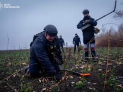 На Харьковщине за неделю саперы разминировали восемь домовладений - ОВА