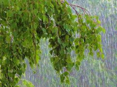 Дожди не покинут Харьков: погода на 22 июля