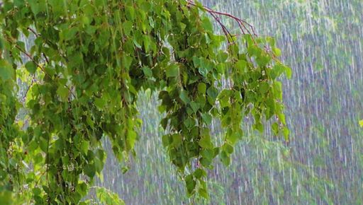 Дожди не покинут Харьков: погода на 22 июля