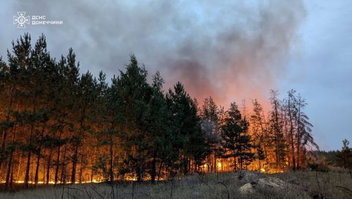 Уничтожено 250 домов: Синегубов рассказал новые подробности масштабного лесного пожара на Харьковщине