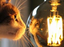 У двох районах Харкова сьогодні відключать світло: адреси