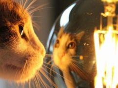 Харківобленерго оприлюднило графік відключень світла на 13 березня