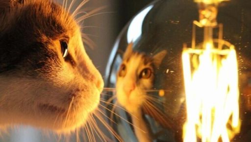 Харківобленерго оприлюднило графік відключень світла на 13 березня