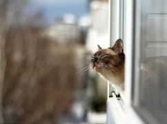 Якою буде погода в Харкові 22 серпня