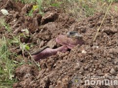 Двое погибли во время захоронения женщины: Под Харьковом эксгумировали тела трех гражданских