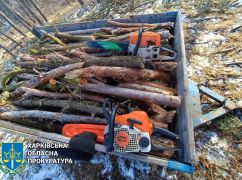 В Харькове будут судить трех черных лесорубов, пиливших деревья в ландшафтном парке