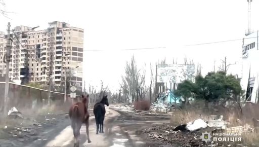 Харьковские волонтеры провели необычную спасательную операцию в Авдеевке: Кадры с места