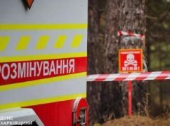 Розмінування на Харківщині 5 травня: де працюватимуть сапери