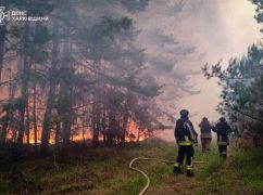 В Харьковской области продолжается ликвидация масштабного лесного пожара вблизи Березников