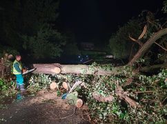 Перебої зі світлом та водою, понад сотня повалених дерев: у мерії розповіли, як Харків пережив грозу