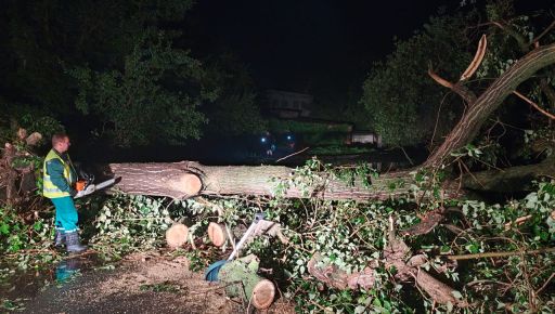 Перебої зі світлом та водою, понад сотня повалених дерев: у мерії розповіли, як Харків пережив грозу